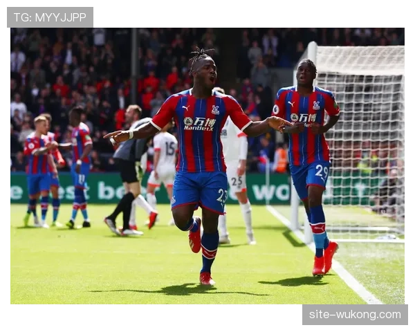 伯恩茅斯门将表现分析 扑救成功率和出击时机选择